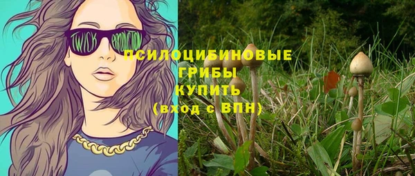 трава Армянск