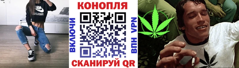закладка  Тарко-Сале  сайты даркнета формула  Бошки марихуана SATIVA & INDICA 